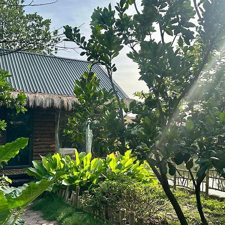 Peaceful Refuge Homestay Ninh Binh Eksteriør billede