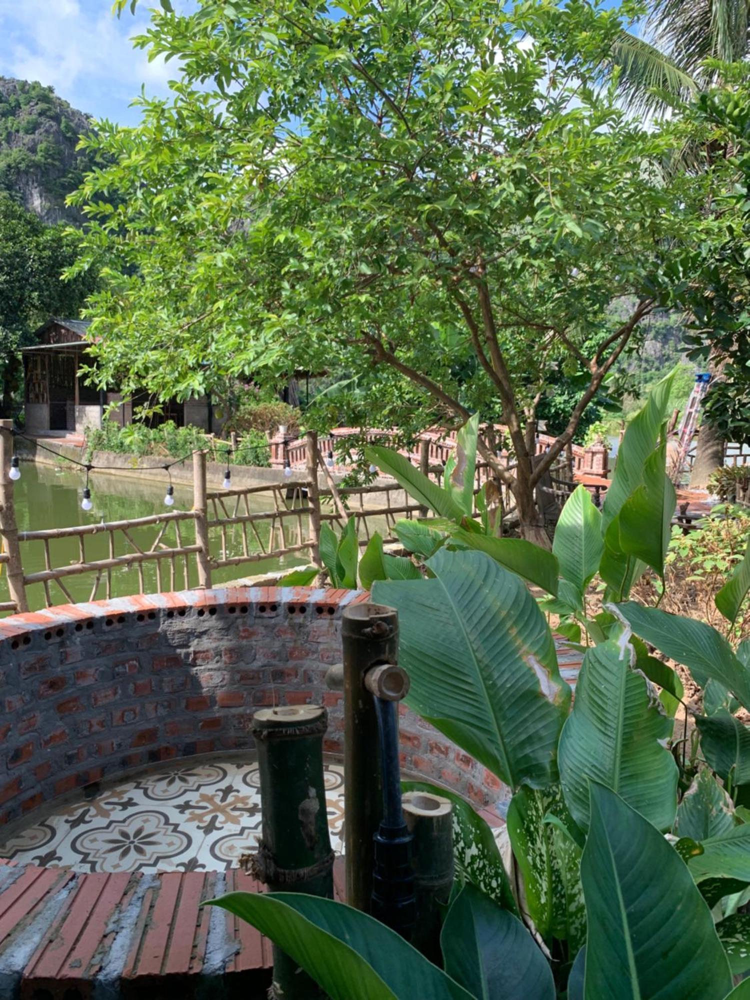 Peaceful Refuge Homestay Ninh Binh Eksteriør billede