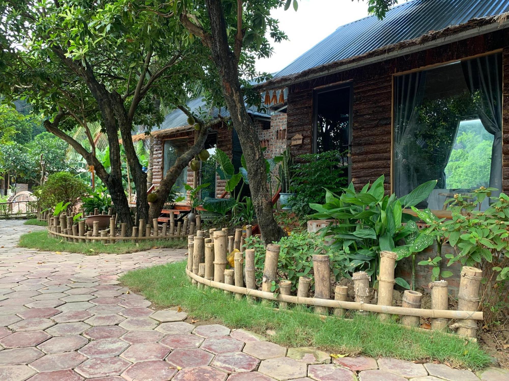 Peaceful Refuge Homestay Ninh Binh Eksteriør billede