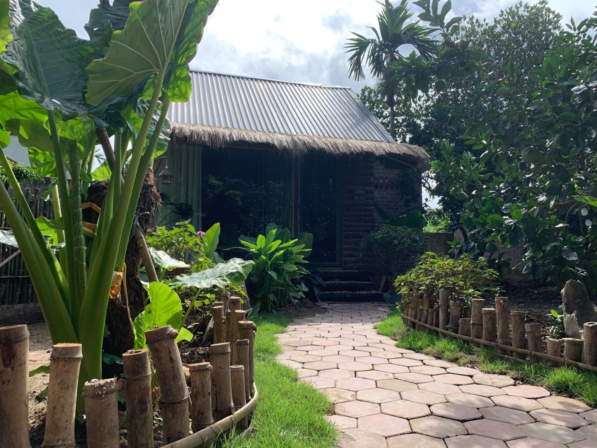 Peaceful Refuge Homestay Ninh Binh Eksteriør billede