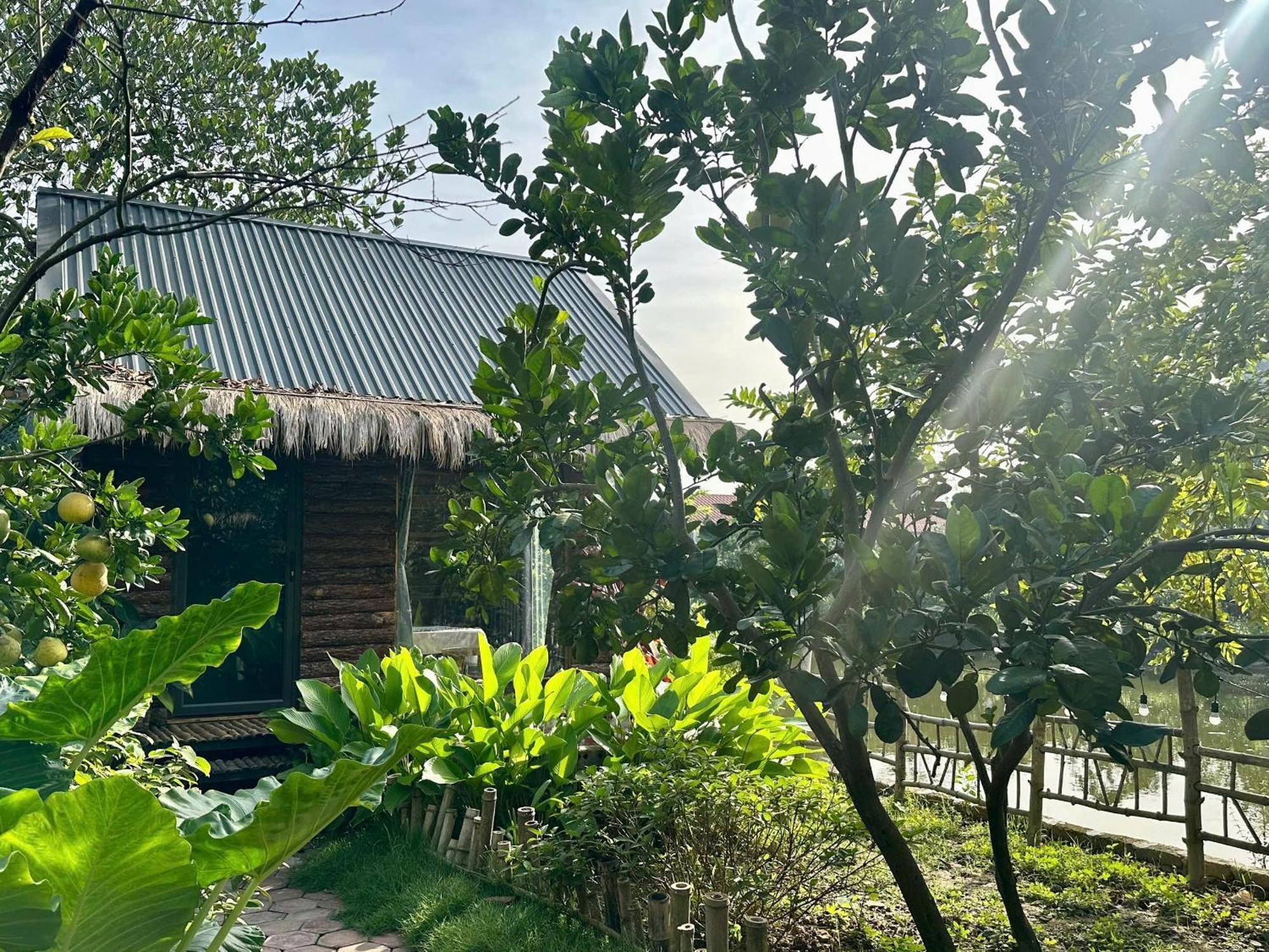 Peaceful Refuge Homestay Ninh Binh Eksteriør billede